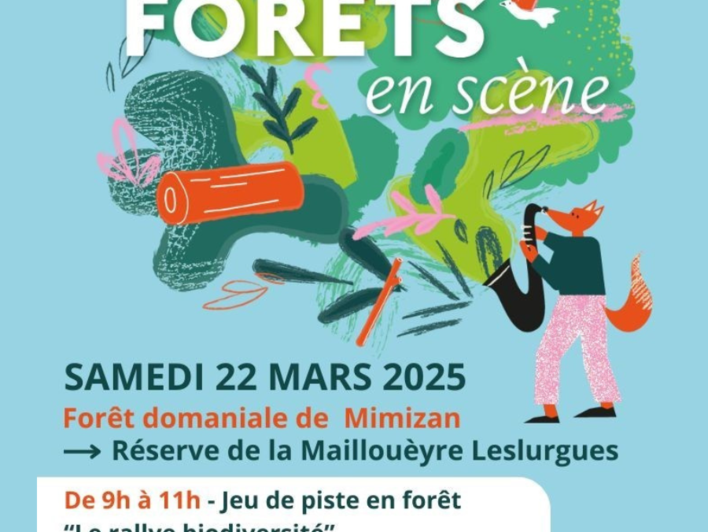 Fêtez la journée internationale des forêts  ! "Le rallye de la biodiversité"