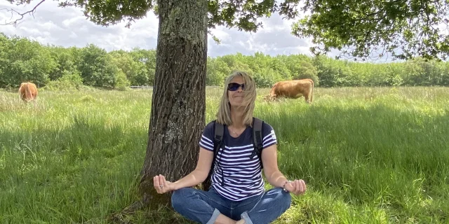 Visites guidées en forêt