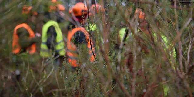 Etudiants En Foret Pontenx les Forges