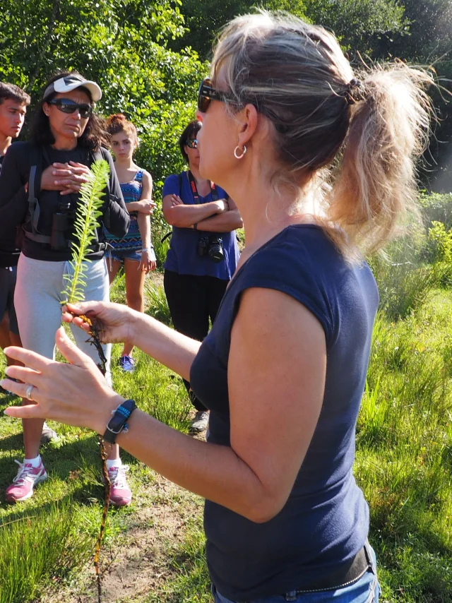 visites guidées en forêt landaise à Mézos