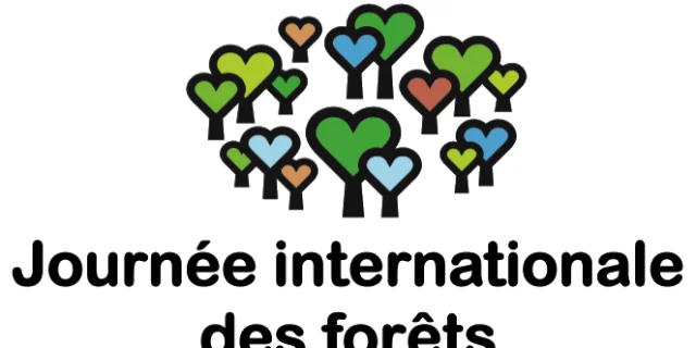 international day of the forest Mimizan