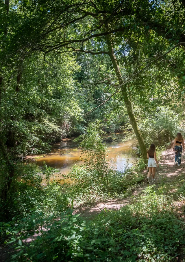 Mézos - sendero del zarapito - orilla del río