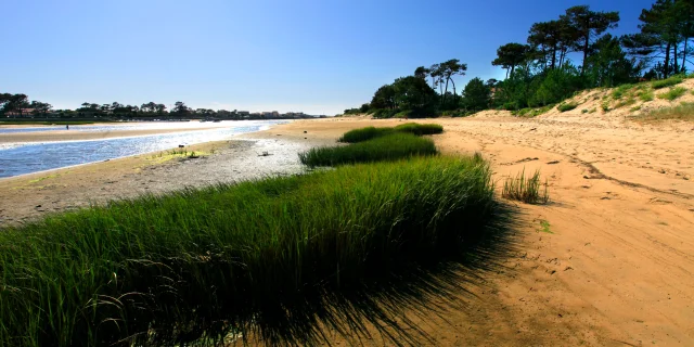 Mimizan current at low tide