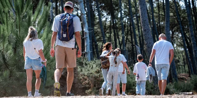 Family walks in the forest