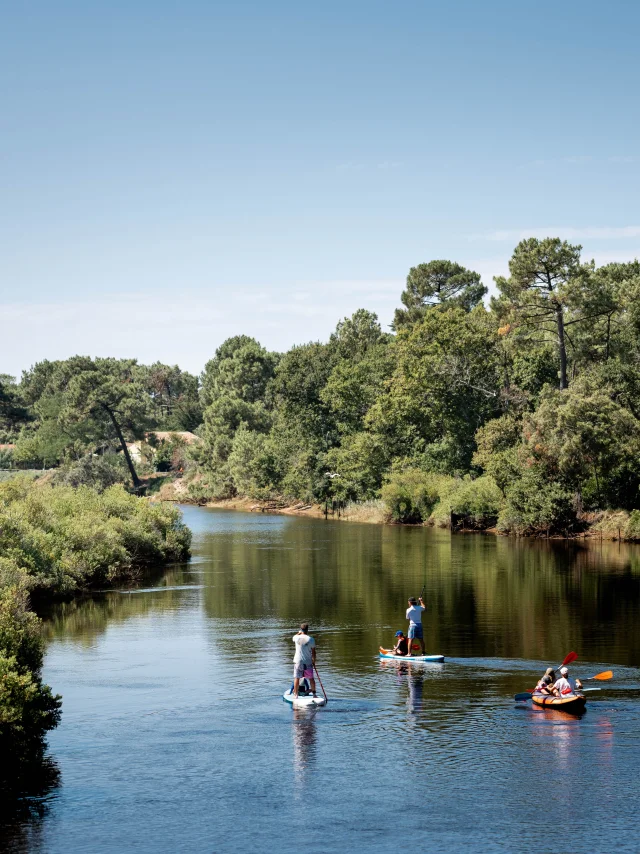 Paddle and canoe on the Courant de Mimizan