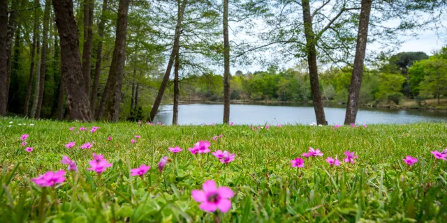 Pontenx Les Forges Nature lake