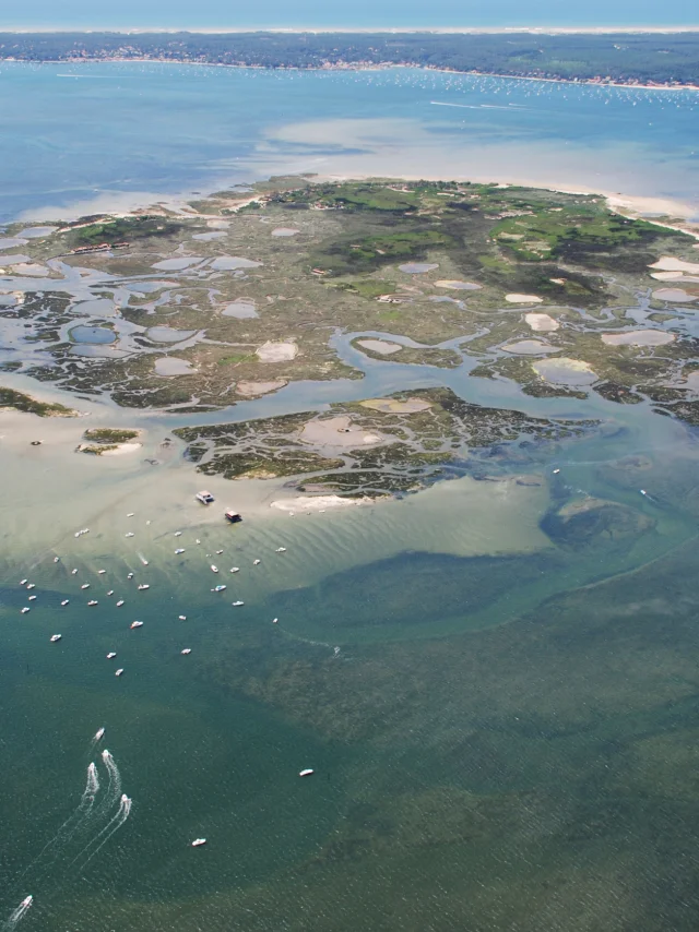 Bassin Arcachon Ile Aux Oiseaux Credit Photo Maire De La Teste De Buch